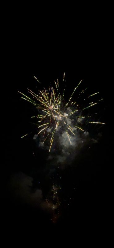 Gender Reveal Firework Displays / Show