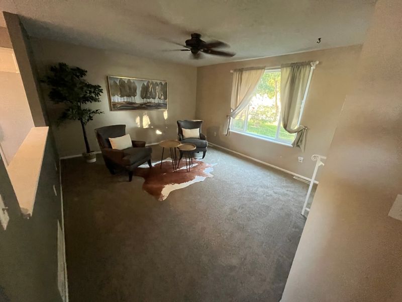 Carpet