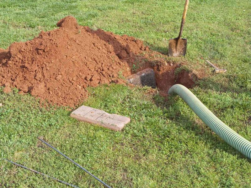 Maintenance Septic