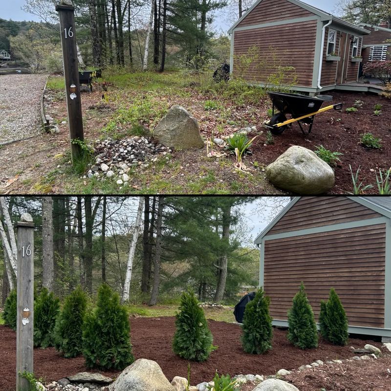 Landscape Design