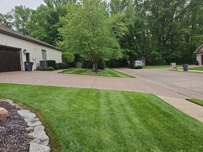 Lawn Maintenance
