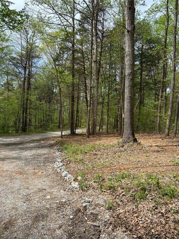 Land Clearing