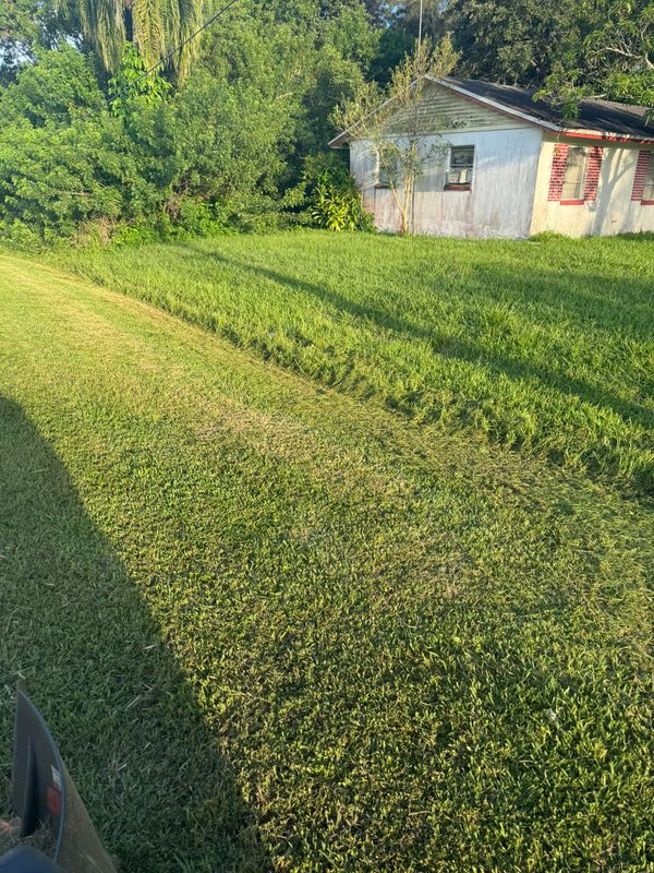 Lawn Maintenance