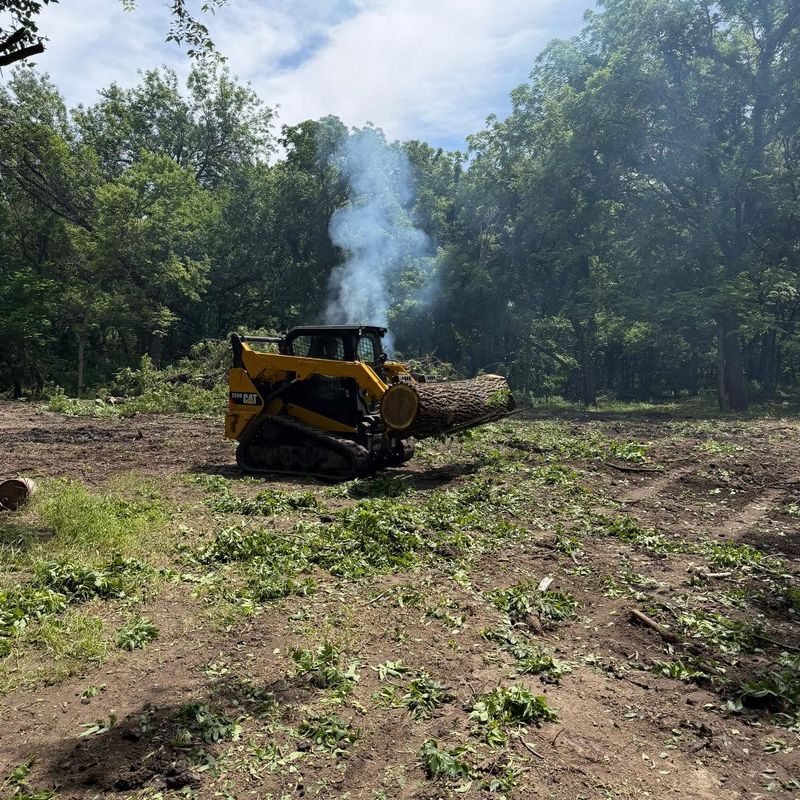 Land Clearing