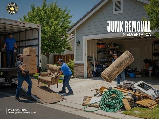 Junk Removal