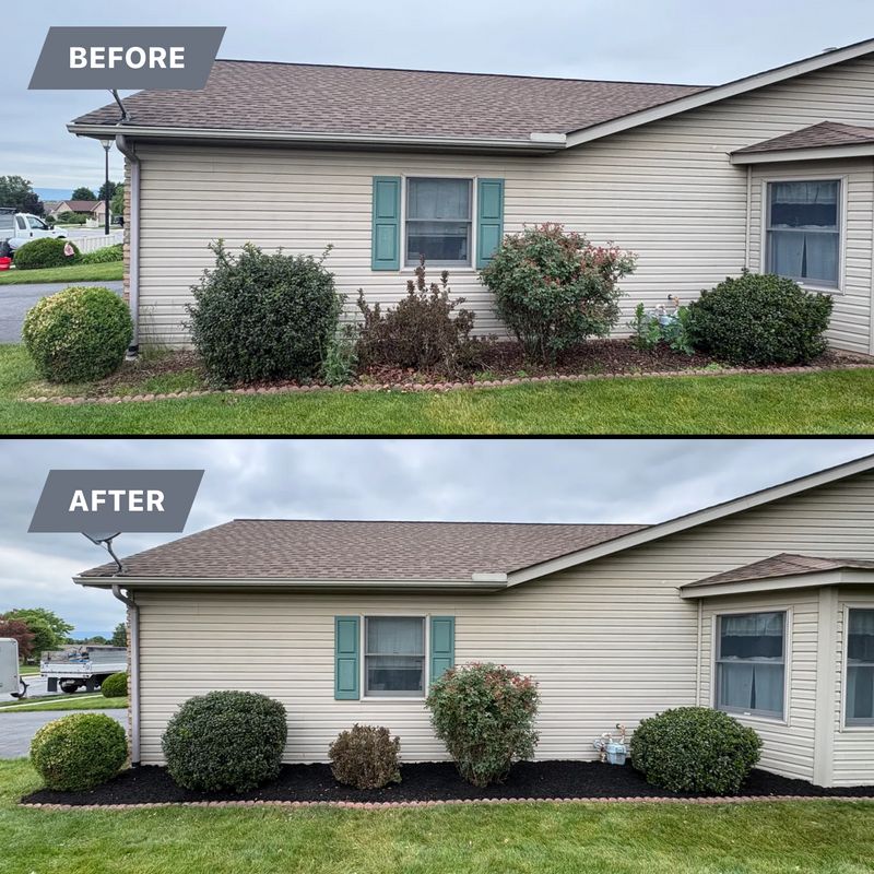Shrub Trimming