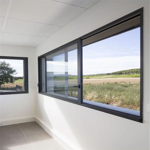 Siding Windows