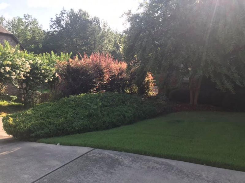Lawn Maintenance