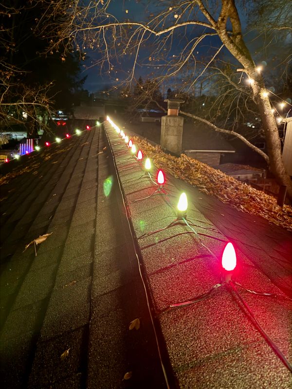 Christmas Lights gallery