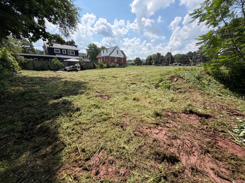 Brush Cutting