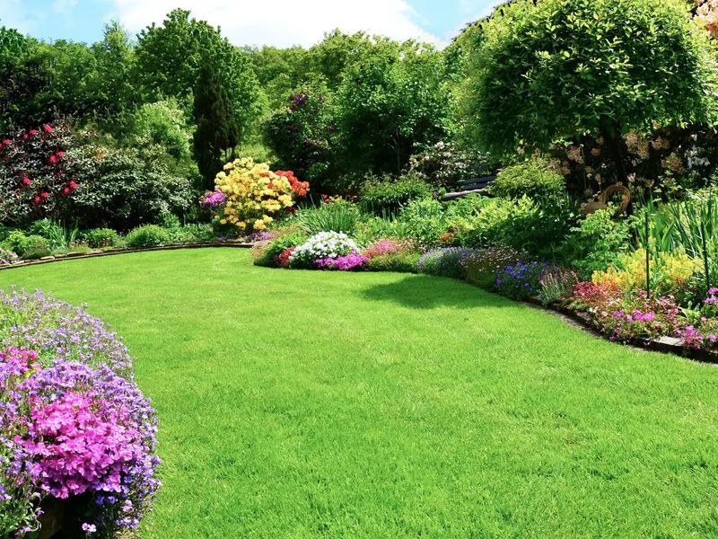Landscaping 