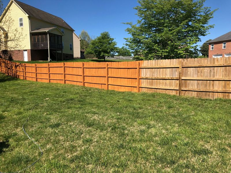 Deck and Fence Staining