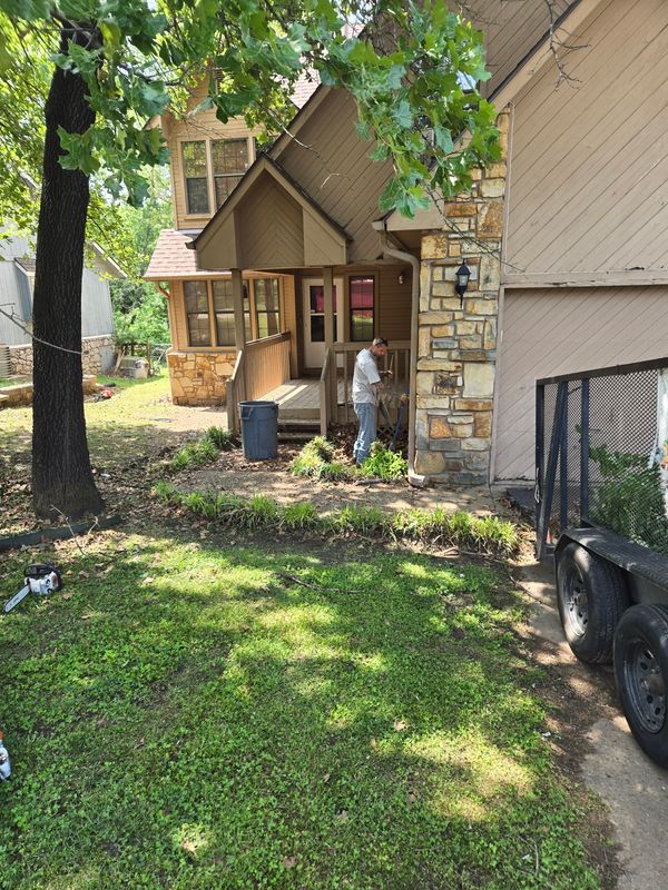Tree & Shrub Care