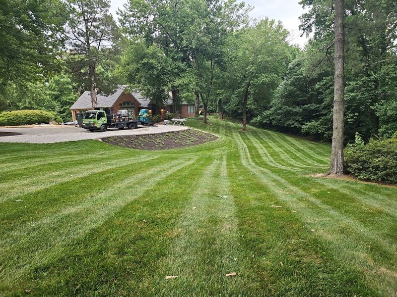 Lawn Maintenance
