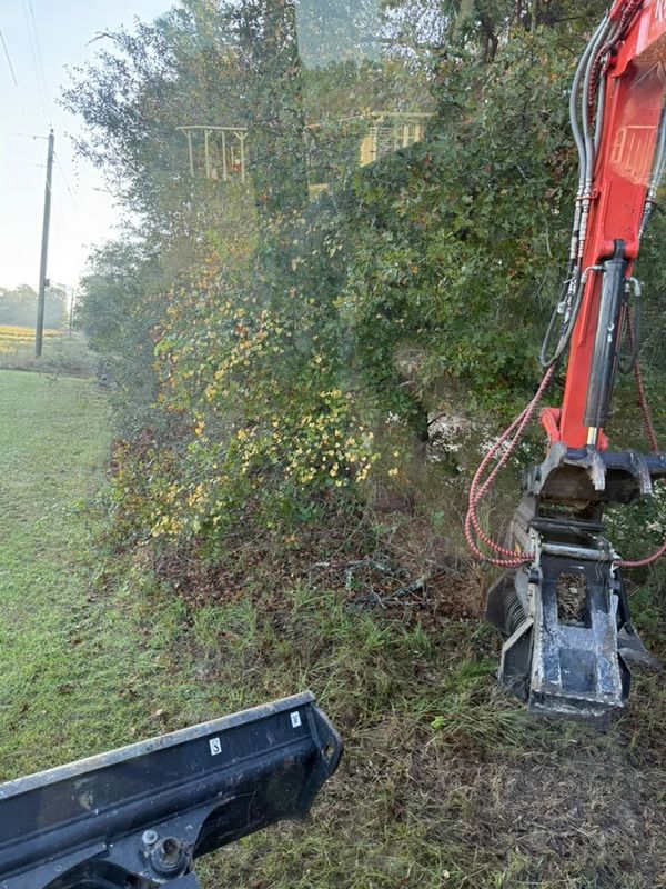 Land Clearing