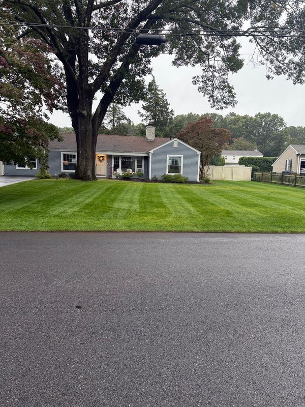 Landscaping