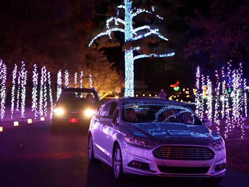Commercial Holiday Lighting