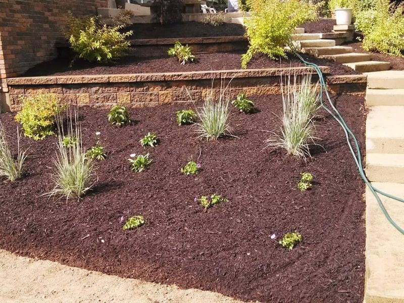 Garden Maintenance