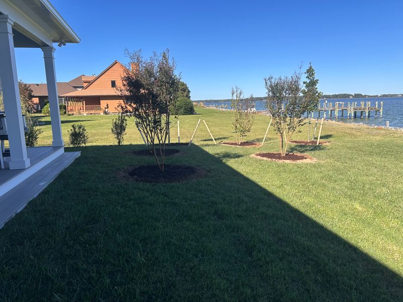 Lawn Aeration and Seeding
