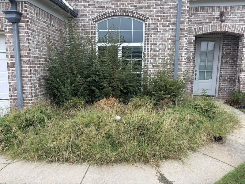 Vegetation Control