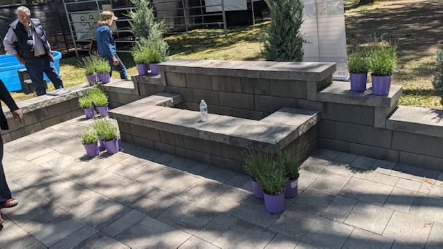 Water Features