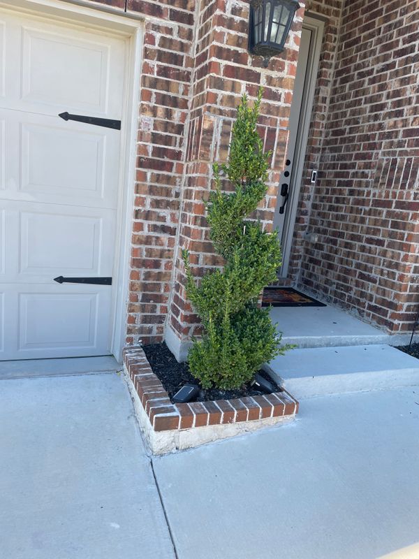 Mulch Installation