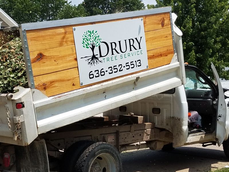 Tree Care Maintenance