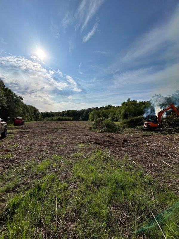 Land Clearing