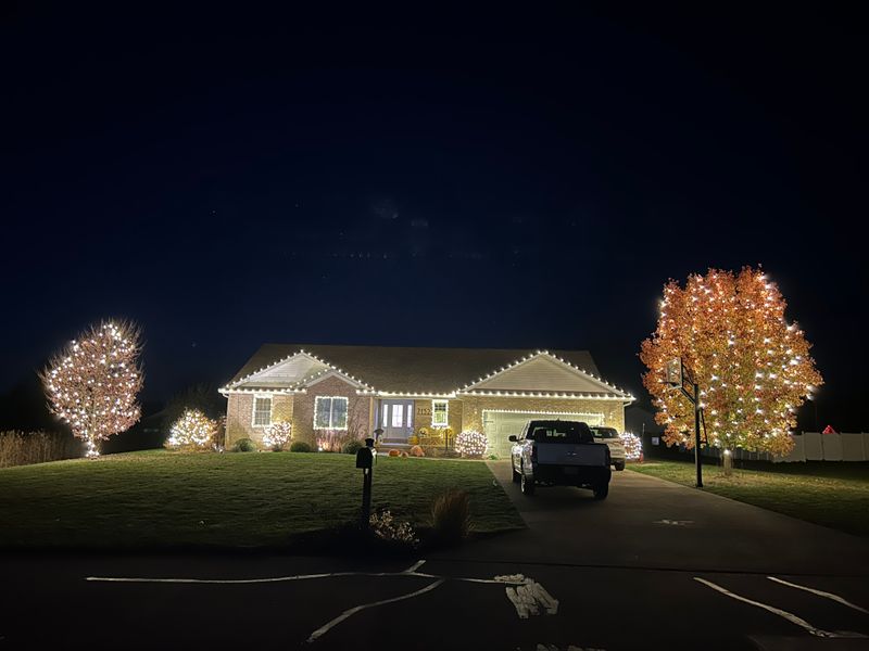 Christmas Decor 