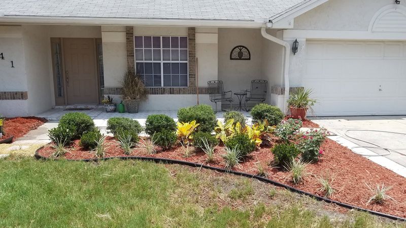 Tree & Shrub Care