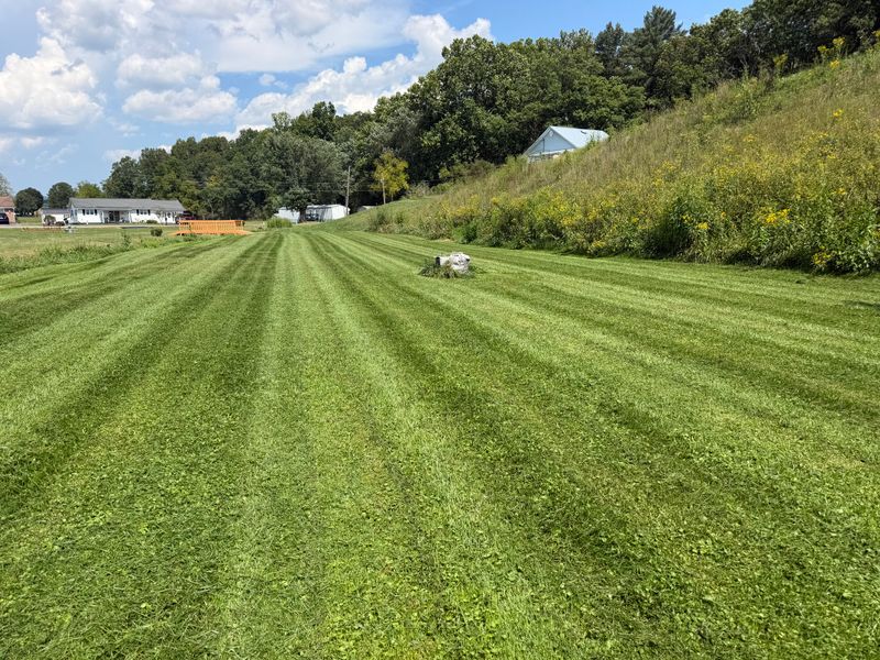 Lawn Maintenance
