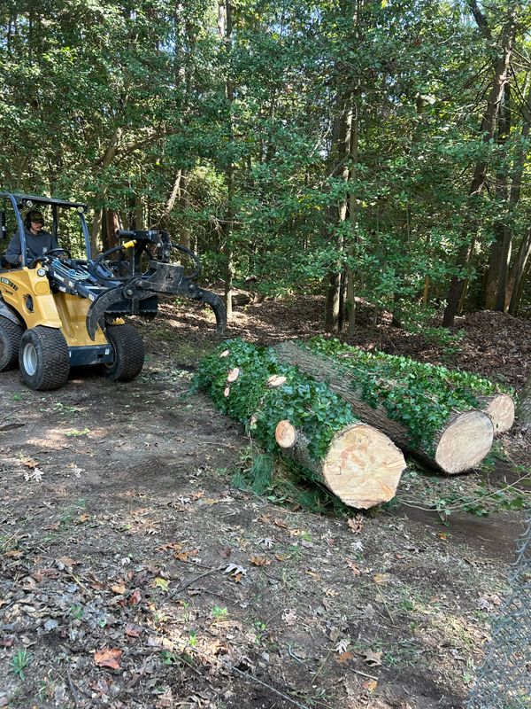 Stump Removal