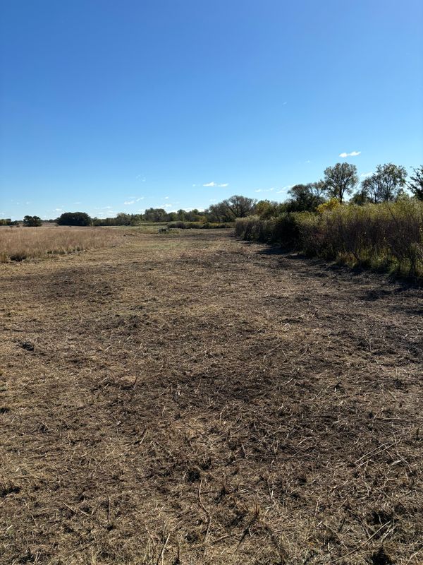 Underbrush Clearing