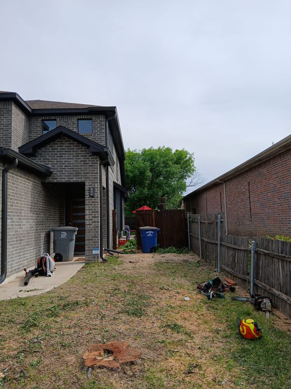 Stump Grinding and Removal
