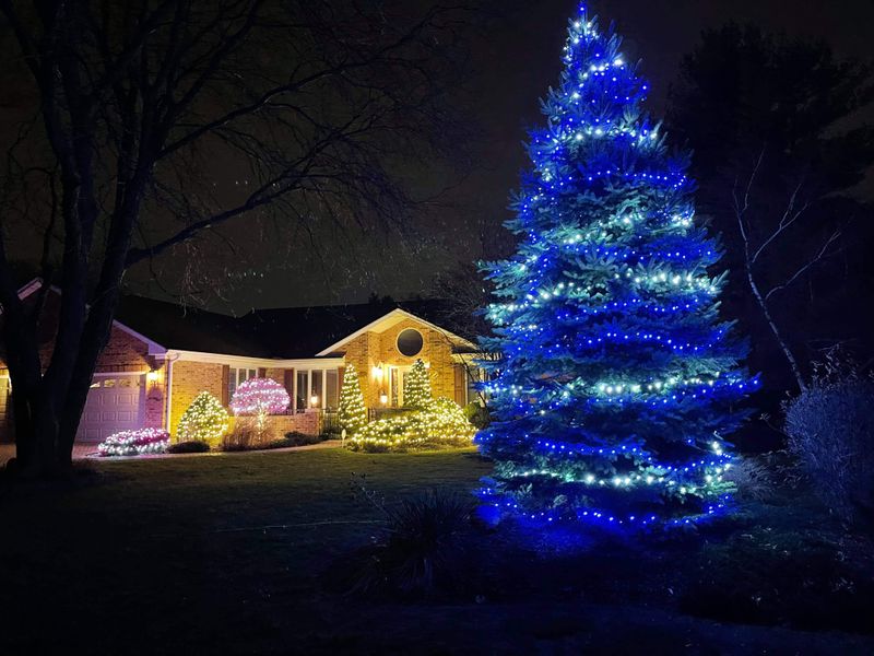 Holiday Lighting gallery