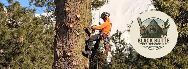 Tree Services