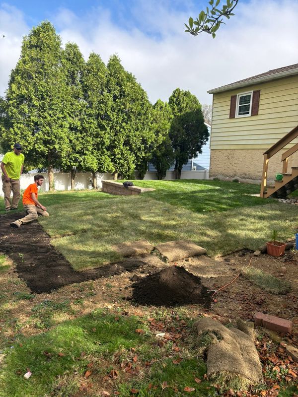 Land Clearing