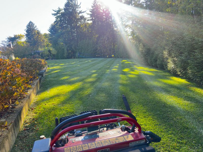 Lawn Maintenance