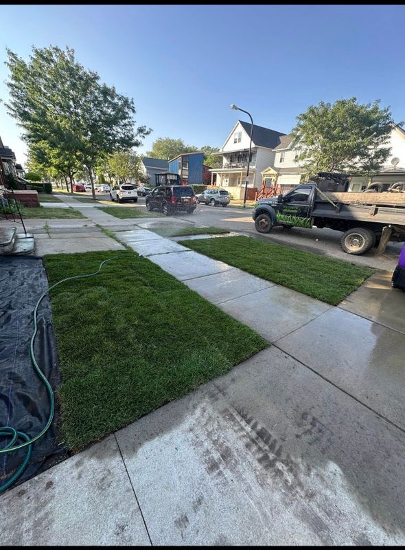 Sod & Seeding