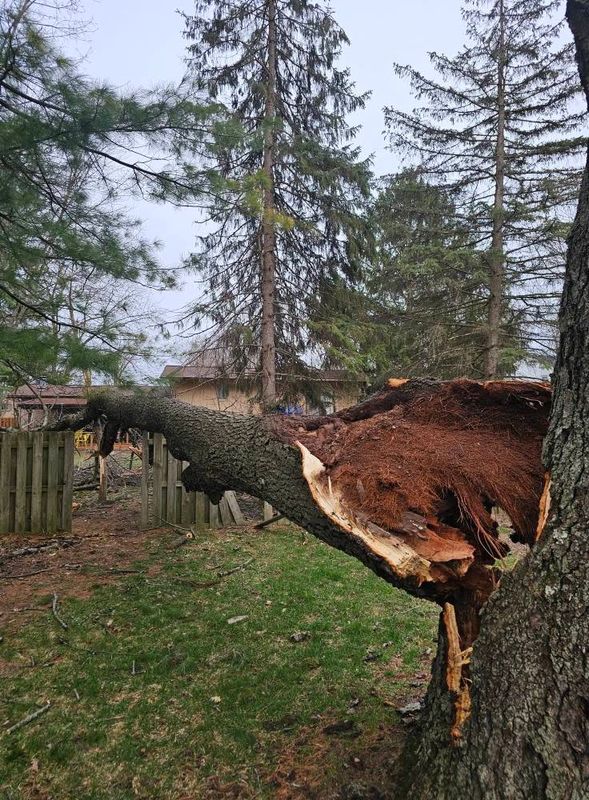 Storm Damage Mitigation