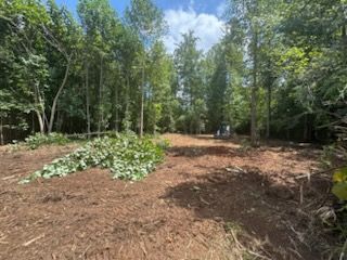 Forestry Mulching
