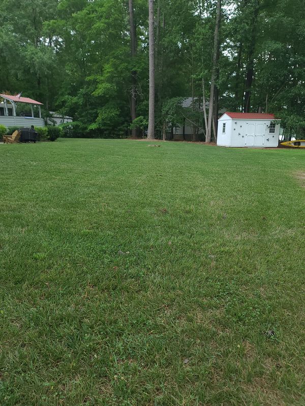 Lawn Maintenance