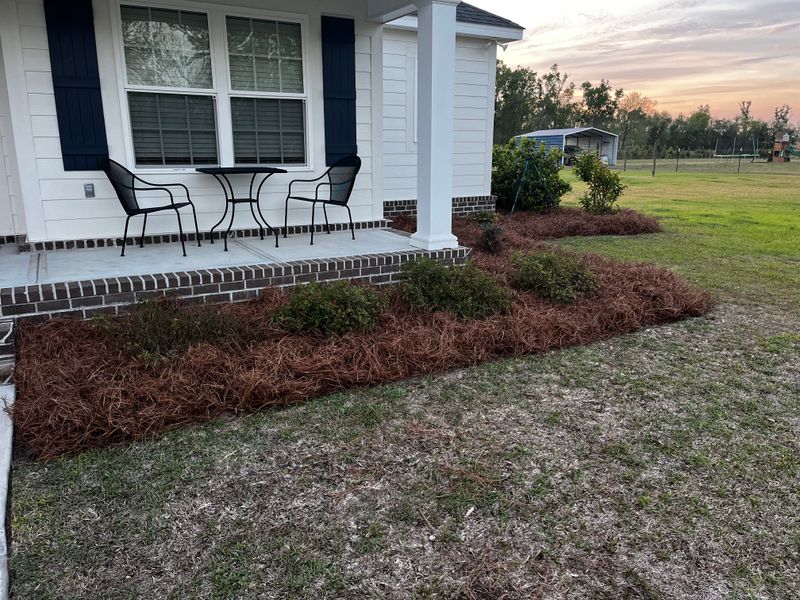 Tree & Shrub Care