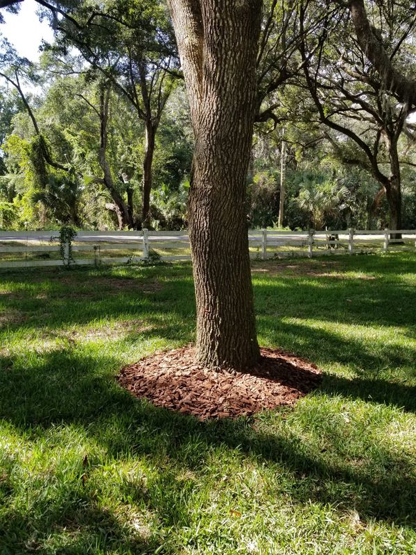 Landscaping