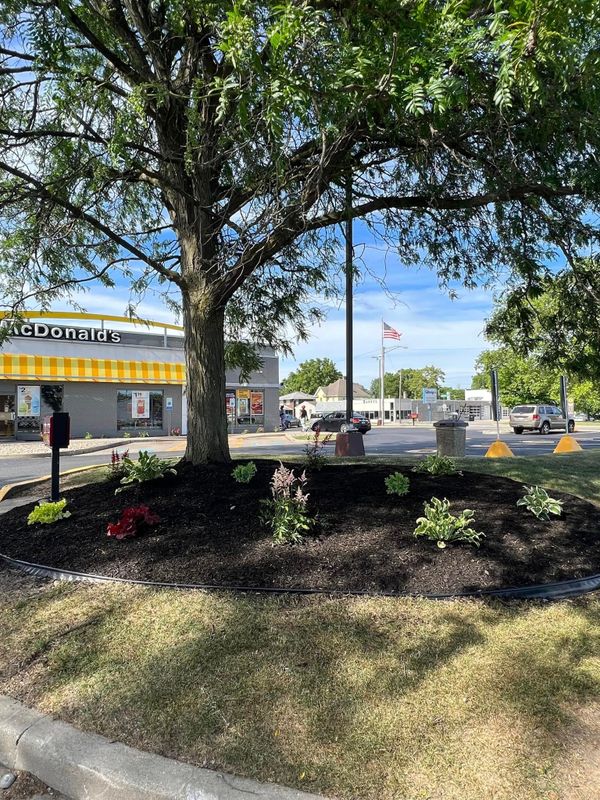 Landscaping