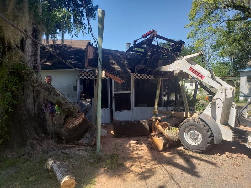 Emergency Tree Services
