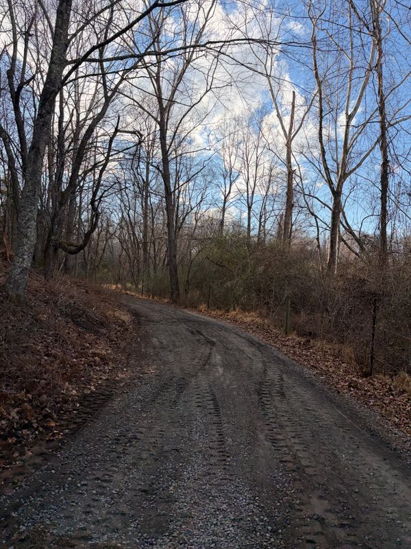 Road Regrading