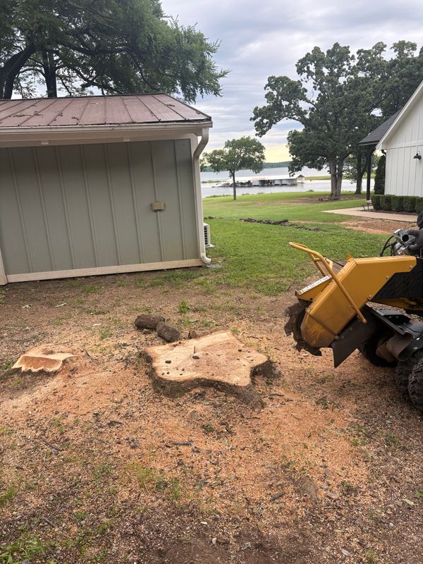 Stump Removal