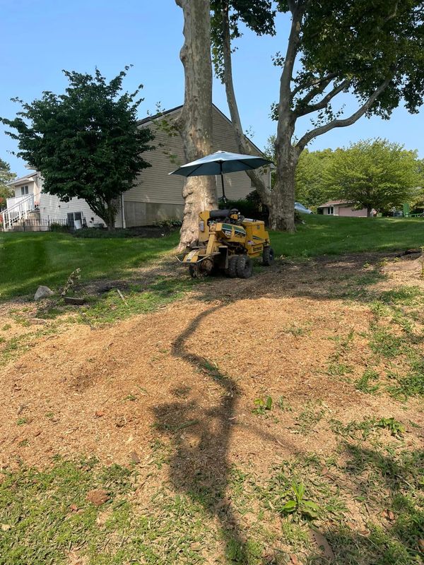Mulch Delivery