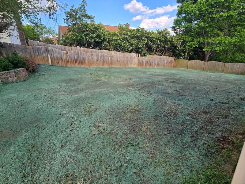 Hydroseeding gallery